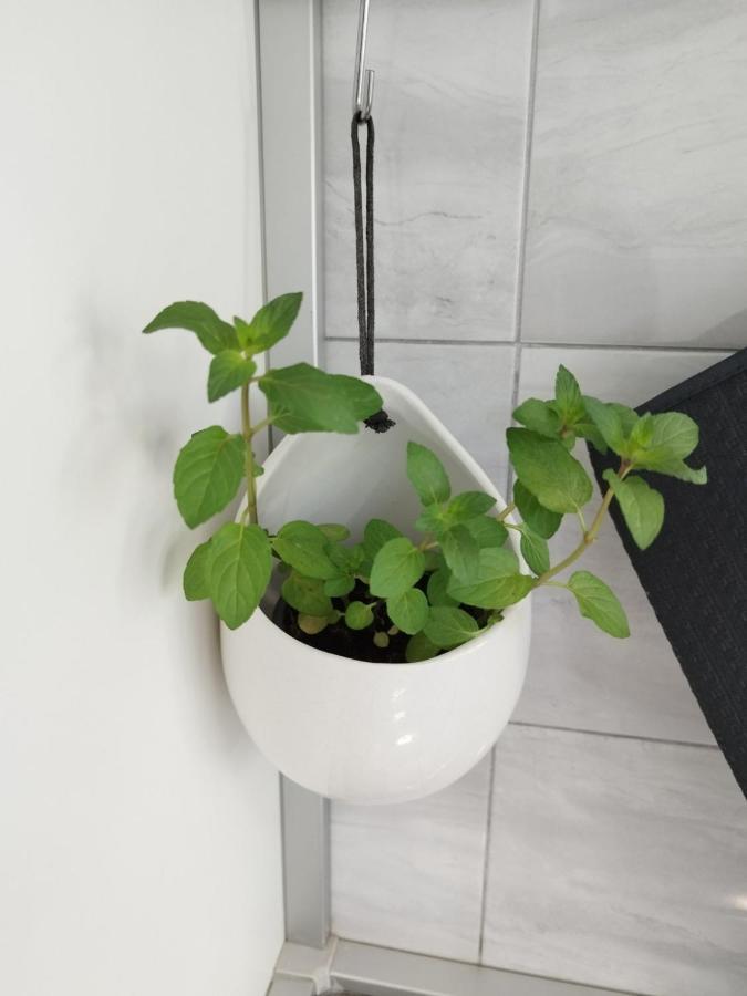 Antemma Apartment Pula Zewnętrze zdjęcie